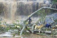 Ghana : vingt lycéens tués par des chutes d’arbres